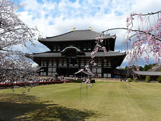 08-Nara.jpg